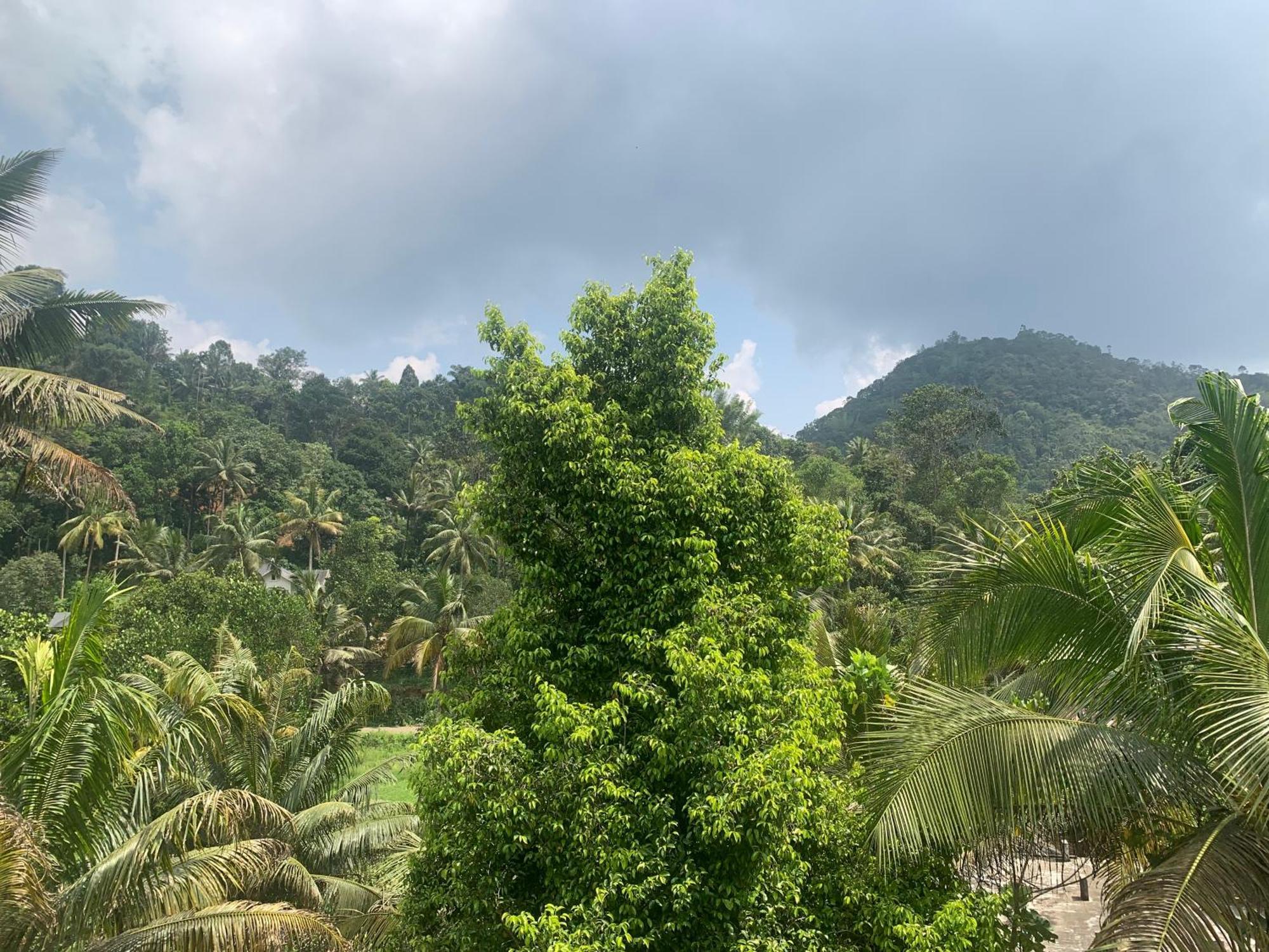 Munnar Falcuns Apartment Anachal Bagian luar foto